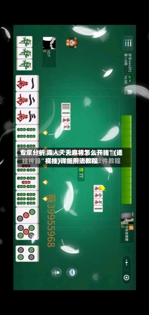 专家分析 真人天天麻将怎么开挂”(透视挂)详细用法教程-第3张图片