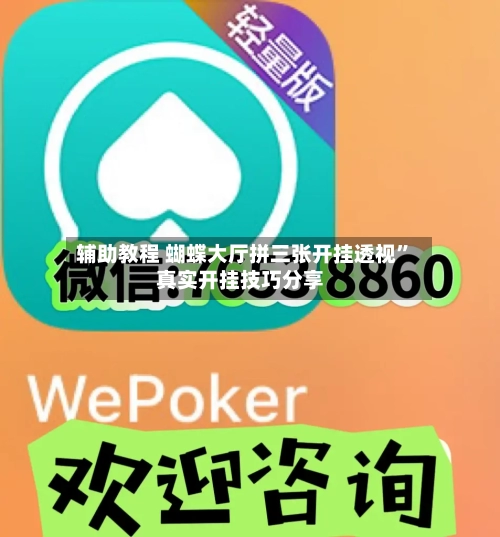 辅助教程 蝴蝶大厅拼三张开挂透视	”真实开挂技巧分享-第2张图片