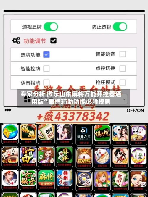 专家分析 微乐山东麻将万能开挂器通用版”掌握辅助功能必胜规则