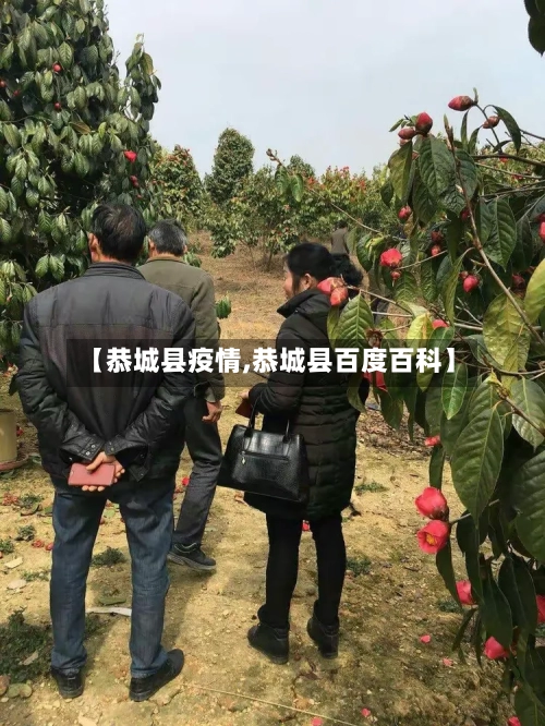 【恭城县疫情,恭城县百度百科】-第2张图片