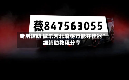专用辅助 微乐河北麻将万能开挂器”细辅助教程分享-第2张图片