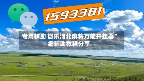专用辅助 微乐河北麻将万能开挂器”细辅助教程分享-第3张图片