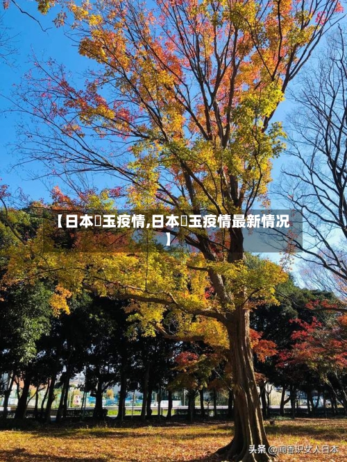 【日本埼玉疫情,日本埼玉疫情最新情况】