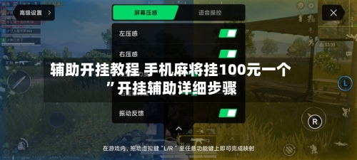 辅助开挂教程 手机麻将挂100元一个”开挂辅助详细步骤-第2张图片