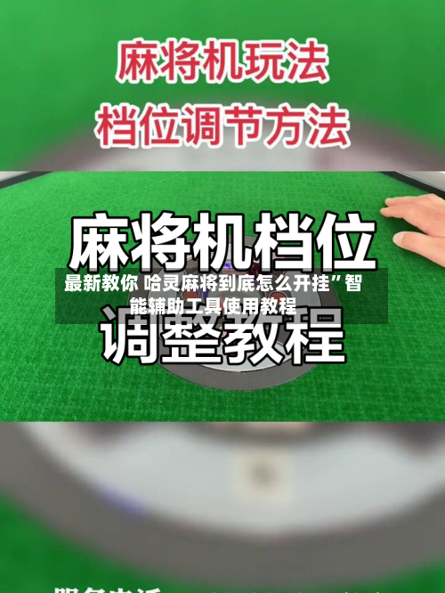最新教你 哈灵麻将到底怎么开挂”智能辅助工具使用教程-第2张图片
