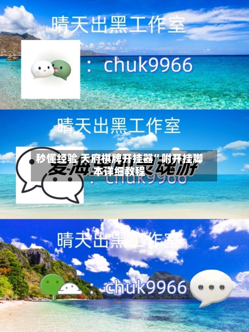 秒懂经验 天府棋牌开挂器”附开挂脚本详细教程