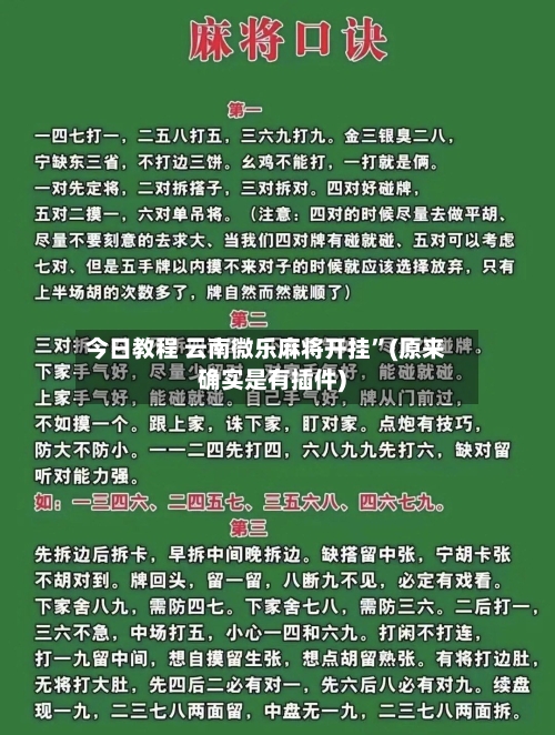 今日教程 云南微乐麻将开挂	”(原来确实是有插件)-第2张图片