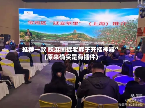 推荐一款 陕麻圈捉老麻子开挂神器”(原来确实是有插件)