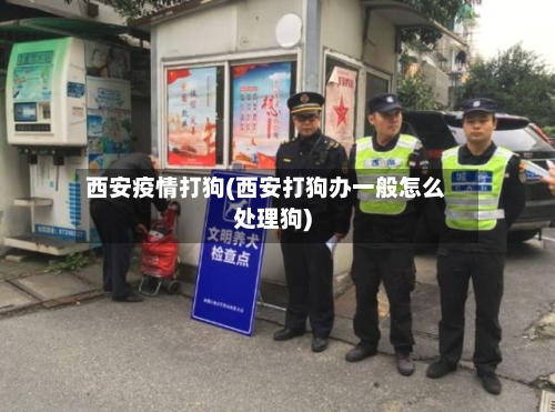西安疫情打狗(西安打狗办一般怎么处理狗)