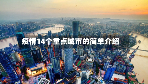 疫情14个重点城市的简单介绍