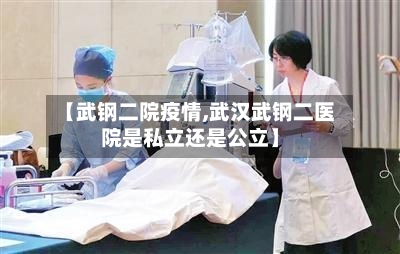 【武钢二院疫情,武汉武钢二医院是私立还是公立】