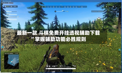 最新一款 斗棋免费开挂透视辅助下载”掌握辅助功能必胜规则-第2张图片