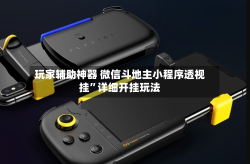 玩家辅助神器 微信斗地主小程序透视挂	”详细开挂玩法-第3张图片