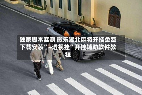 独家脚本实测 微乐湖北麻将开挂免费下载安装”+透视挂	”开挂辅助软件教程-第3张图片