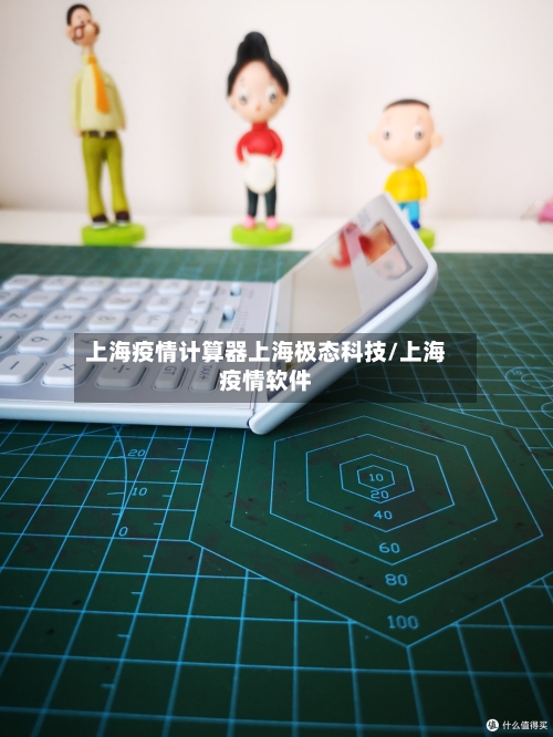 上海疫情计算器上海极态科技/上海疫情软件-第3张图片