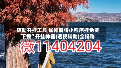 辅助开挂工具 雀神麻将小程序挂免费下载”开挂神器{透视辅助}全揭秘-第3张图片