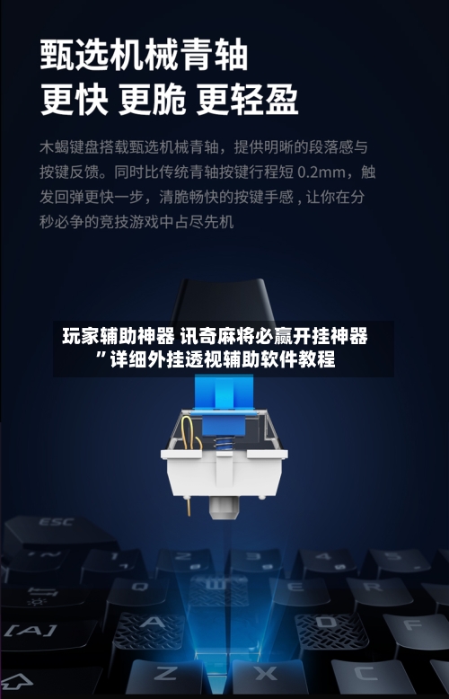 玩家辅助神器 讯奇麻将必赢开挂神器”详细外挂透视辅助软件教程-第3张图片