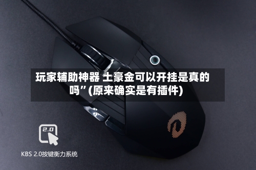 玩家辅助神器 土豪金可以开挂是真的吗	”(原来确实是有插件)-第2张图片