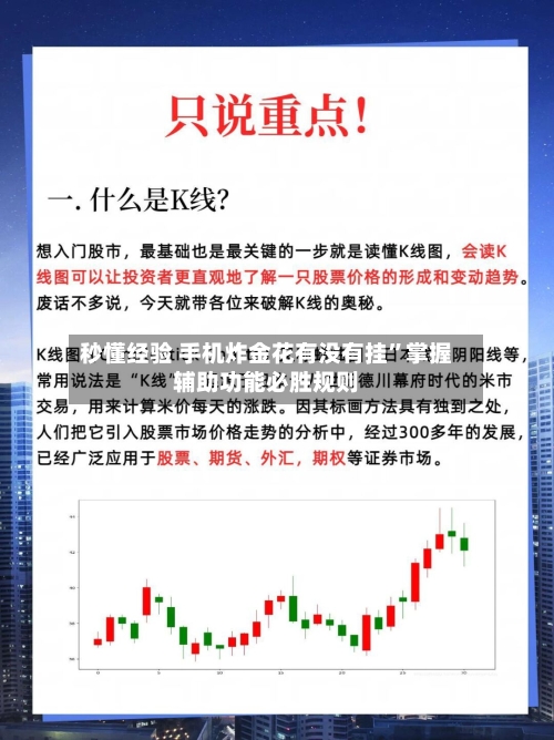 秒懂经验 手机炸金花有没有挂”掌握辅助功能必胜规则-第3张图片