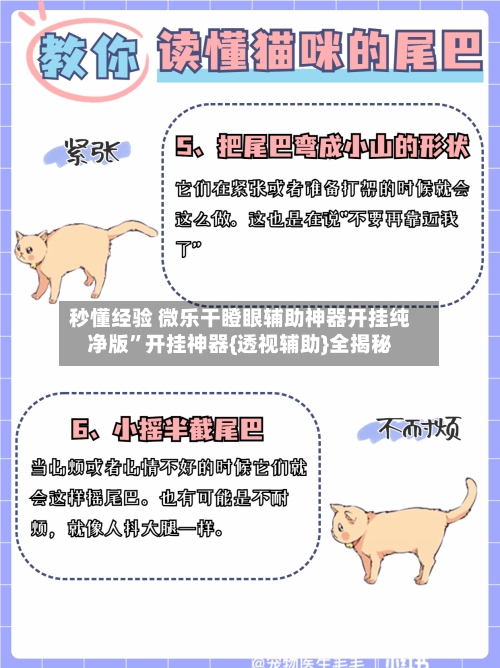 秒懂经验 微乐干瞪眼辅助神器开挂纯净版”开挂神器{透视辅助}全揭秘-第2张图片