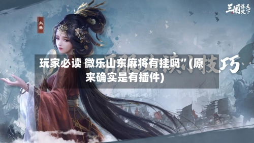 玩家必读 微乐山东麻将有挂吗”(原来确实是有插件)-第3张图片