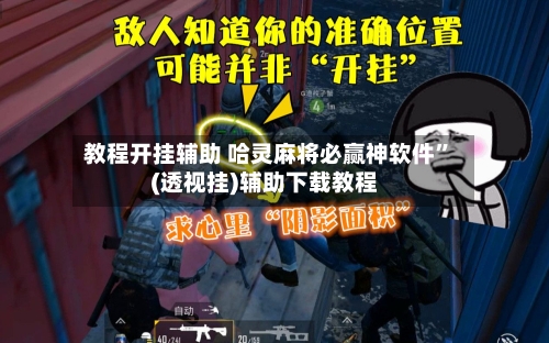 教程开挂辅助 哈灵麻将必赢神软件”(透视挂)辅助下载教程-第2张图片