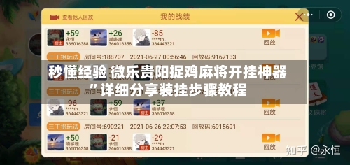 秒懂经验 微乐贵阳捉鸡麻将开挂神器	”详细分享装挂步骤教程-第2张图片