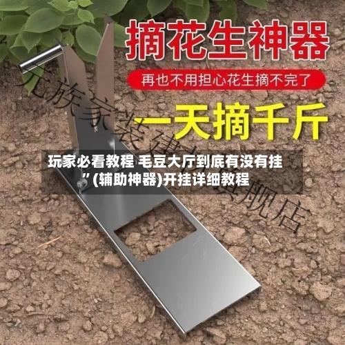 玩家必看教程 毛豆大厅到底有没有挂	”(辅助神器)开挂详细教程-第2张图片