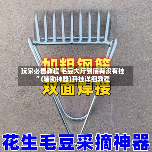 玩家必看教程 毛豆大厅到底有没有挂”(辅助神器)开挂详细教程-第3张图片