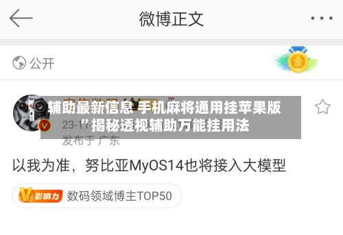辅助最新信息 手机麻将通用挂苹果版”揭秘透视辅助万能挂用法-第3张图片