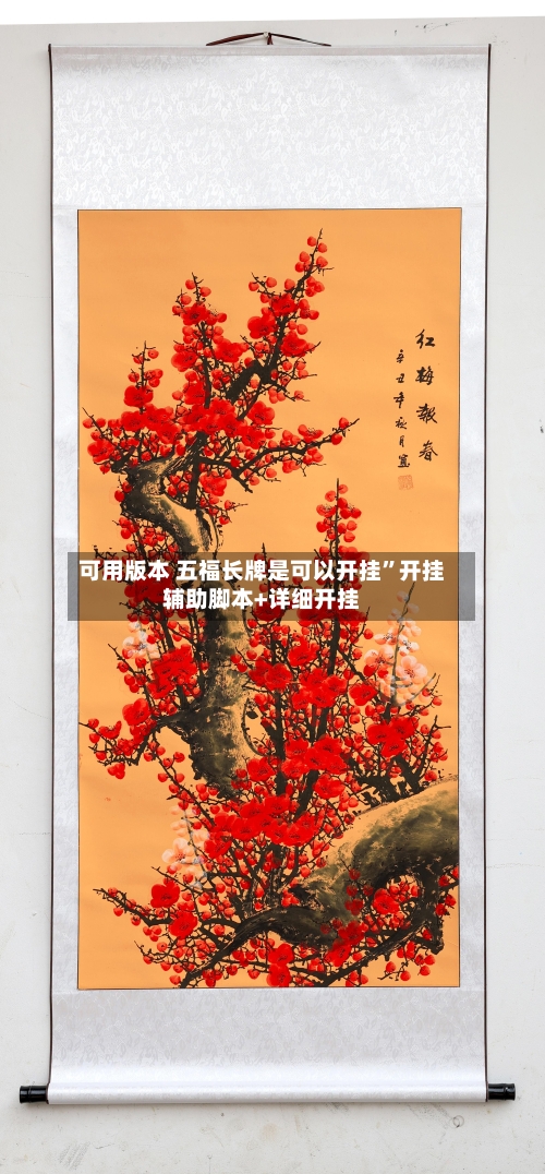 可用版本 五福长牌是可以开挂	”开挂辅助脚本+详细开挂-第2张图片