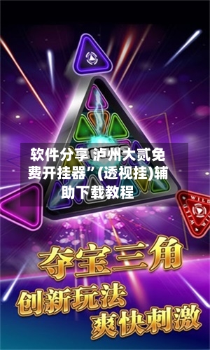 软件分享 泸州大贰免费开挂器”(透视挂)辅助下载教程-第3张图片