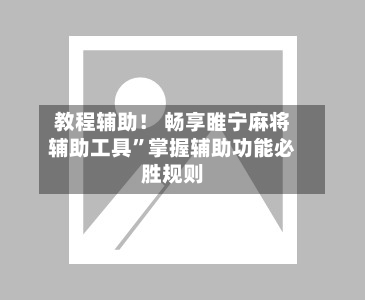 教程辅助! 畅享睢宁麻将辅助工具”掌握辅助功能必胜规则