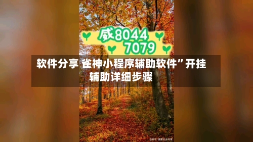 软件分享 雀神小程序辅助软件”开挂辅助详细步骤