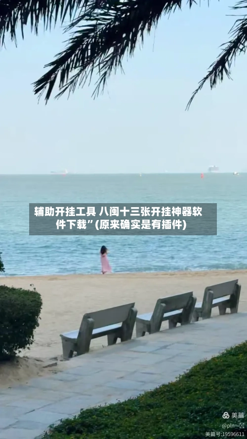 辅助开挂工具 八闽十三张开挂神器软件下载”(原来确实是有插件)