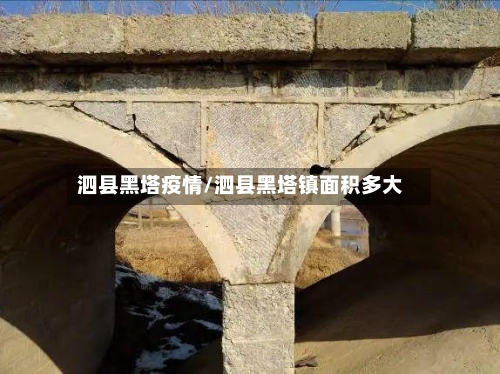 泗县黑塔疫情/泗县黑塔镇面积多大-第2张图片