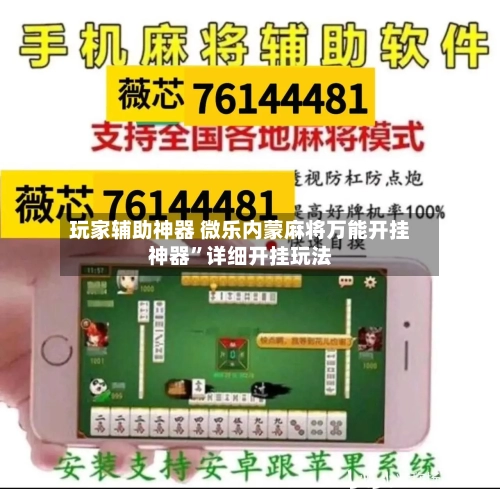 玩家辅助神器 微乐内蒙麻将万能开挂神器”详细开挂玩法-第3张图片