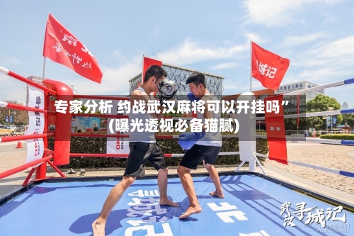 专家分析 约战武汉麻将可以开挂吗”(曝光透视必备猫腻)