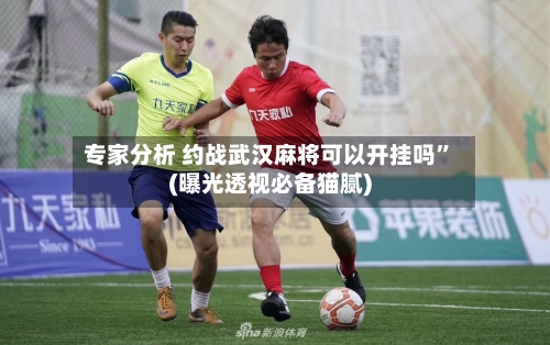 专家分析 约战武汉麻将可以开挂吗”(曝光透视必备猫腻)-第3张图片