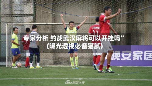 专家分析 约战武汉麻将可以开挂吗	”(曝光透视必备猫腻)-第2张图片