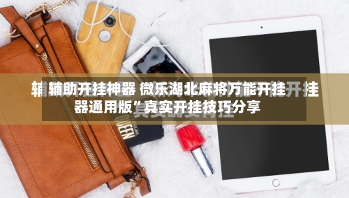 辅助开挂神器 微乐湖北麻将万能开挂器通用版	”真实开挂技巧分享-第2张图片