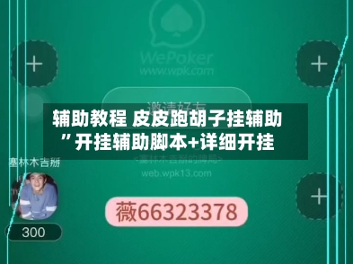 辅助教程 皮皮跑胡子挂辅助”开挂辅助脚本+详细开挂