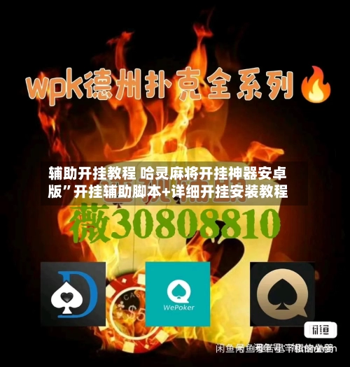 辅助开挂教程 哈灵麻将开挂神器安卓版”开挂辅助脚本+详细开挂安装教程