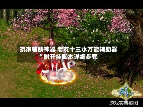 玩家辅助神器 老友十三水万能辅助器”附开挂脚本详细步骤
