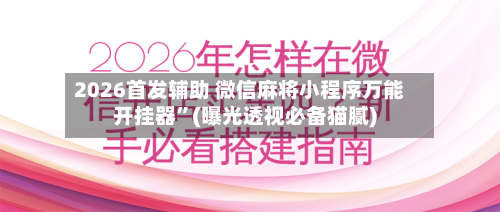 2026首发辅助 微信麻将小程序万能开挂器”(曝光透视必备猫腻)-第2张图片