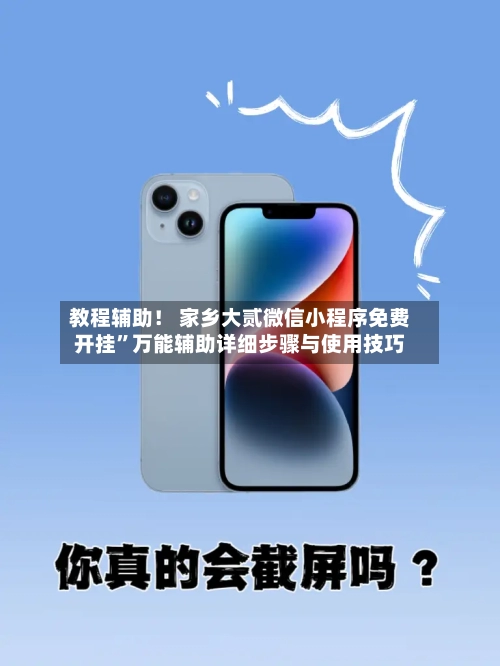 教程辅助！ 家乡大贰微信小程序免费开挂	”万能辅助详细步骤与使用技巧-第2张图片