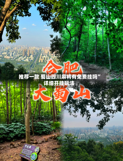 推荐一款 蜀山四川麻将有免费挂吗”详细开挂玩法-第3张图片