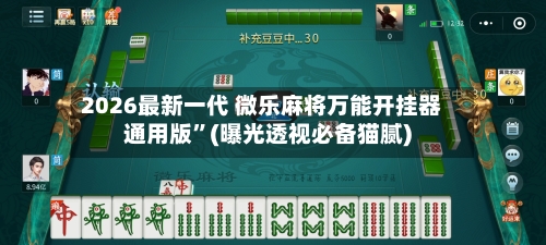 2026最新一代 微乐麻将万能开挂器通用版	”(曝光透视必备猫腻)-第2张图片