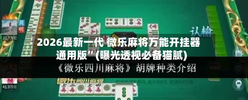 2026最新一代 微乐麻将万能开挂器通用版	”(曝光透视必备猫腻)-第2张图片