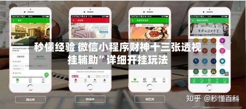 秒懂经验 微信小程序财神十三张透视挂辅助”详细开挂玩法